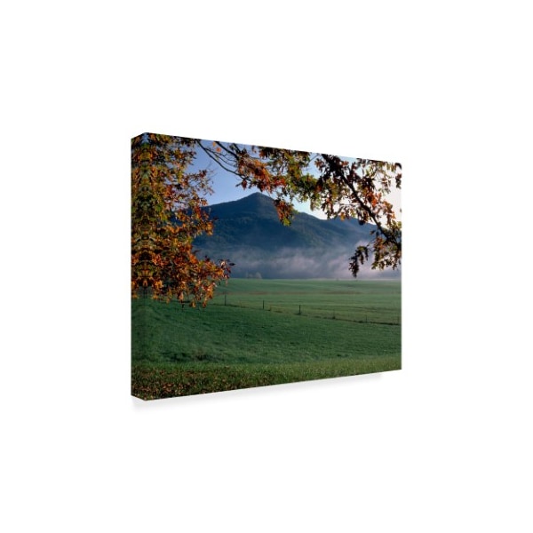 J.D. Mcfarlan 'Cades Cove' Canvas Art,24x32